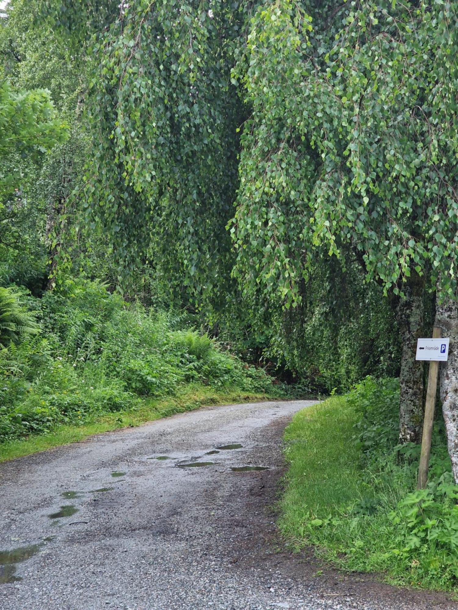 Eidsvag Bergen