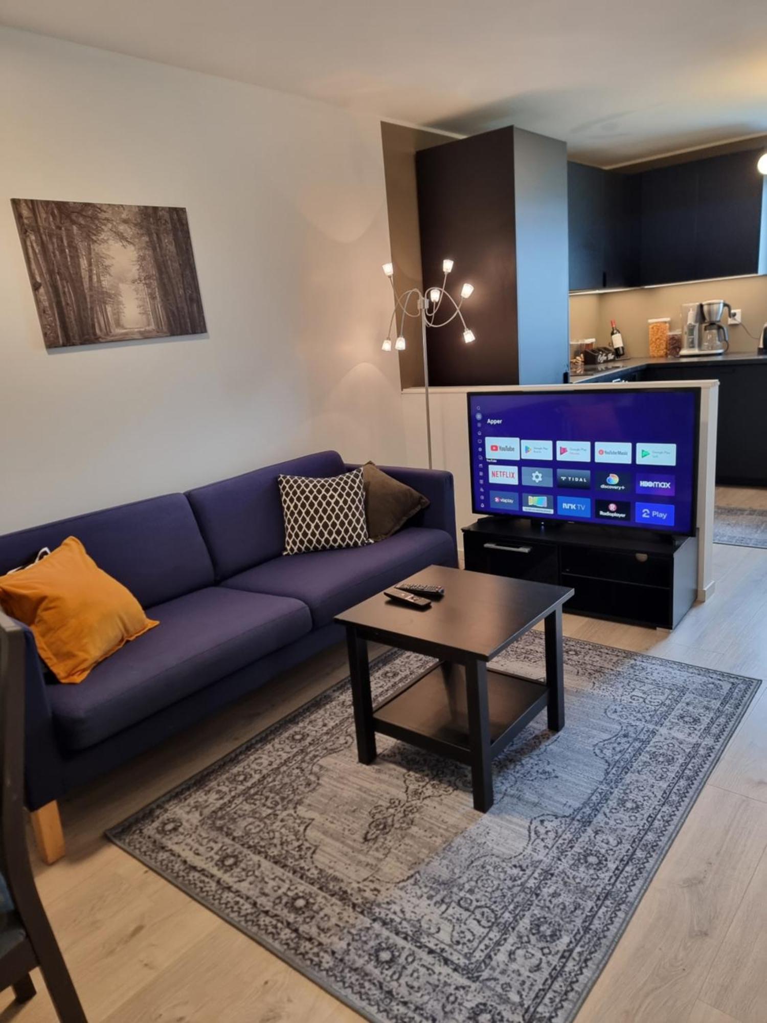 Eidsvag Apartment Bergen